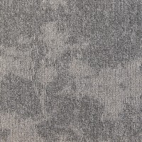 Grafico Project-SDN 742